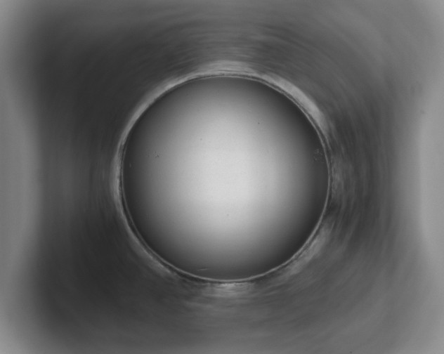 X0000102481390200808151440