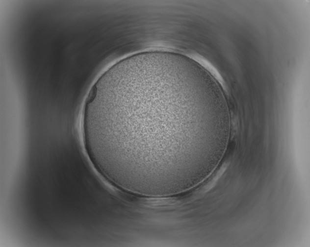 X0000102481391200808151440