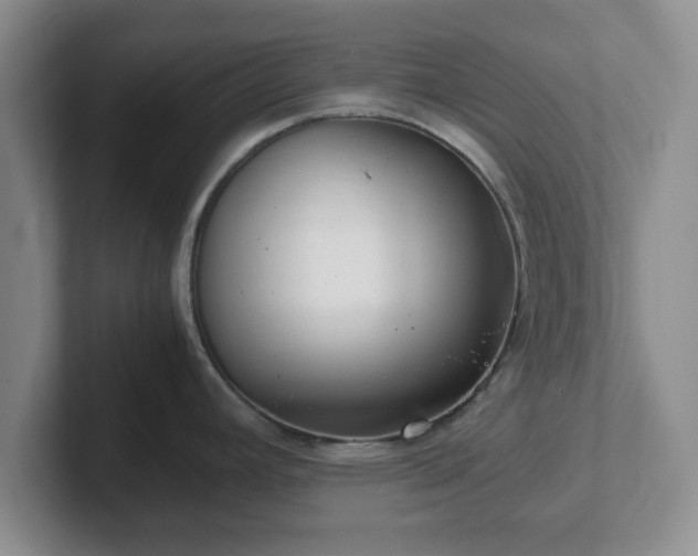 X0000102481392200808151440