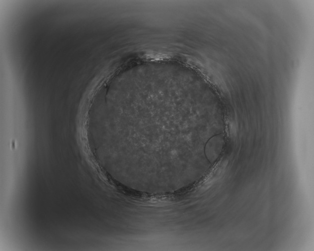 X0000102481393200808151440