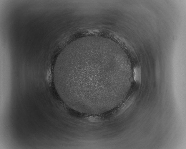 X0000102481395200808151440