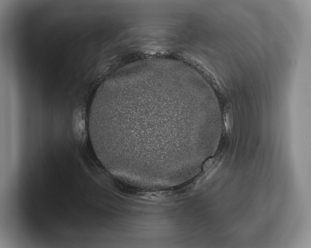 X0000102481396200808151440