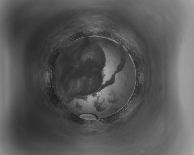 X0000102481397200808151440