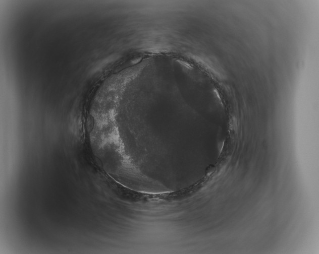 X0000102481398200808151440