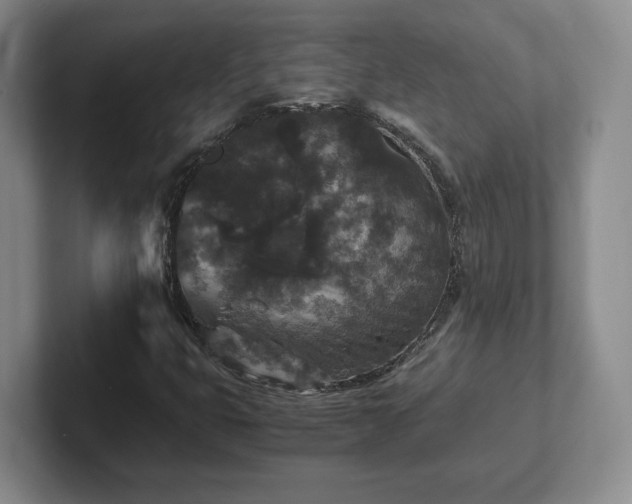 X0000102481399200808151440