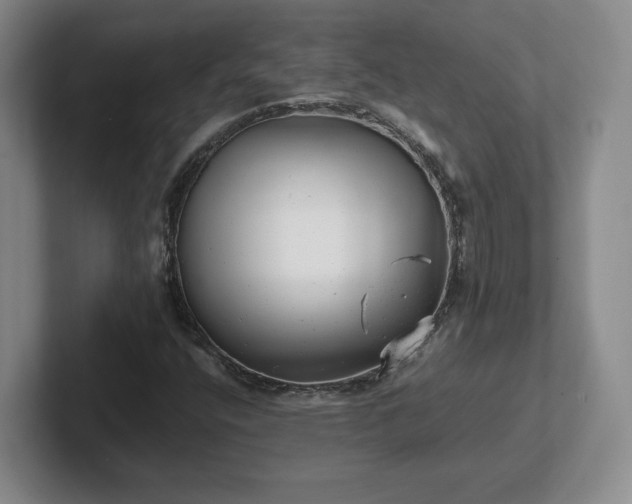 X0000102481400200808151440