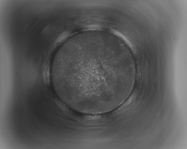 X0000102481403200808151440