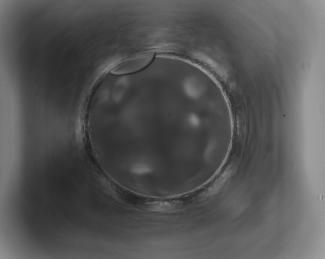 X0000102481405200808151440