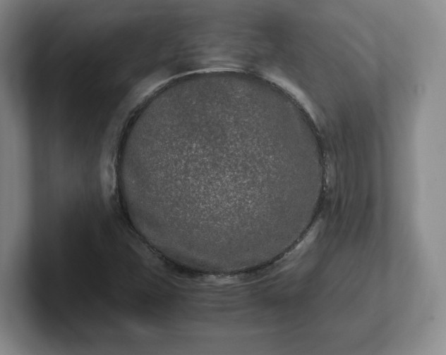 X0000102481407200808151440