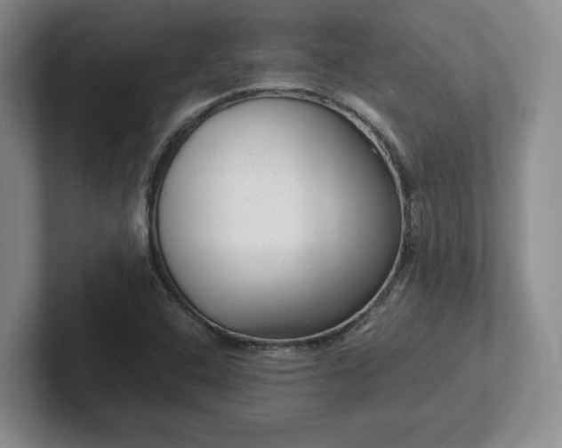 X0000102481408200808151440