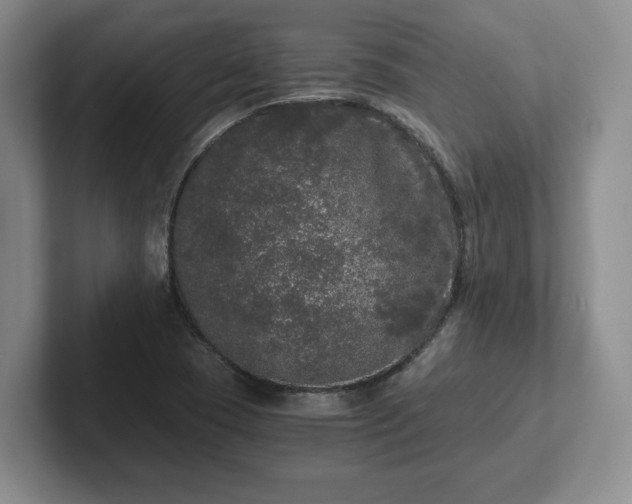 X0000102481409200808151440