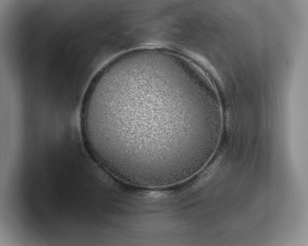 X0000102481412200808151440