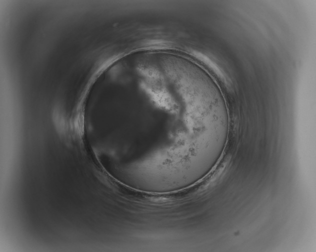 X0000102481413200808151440