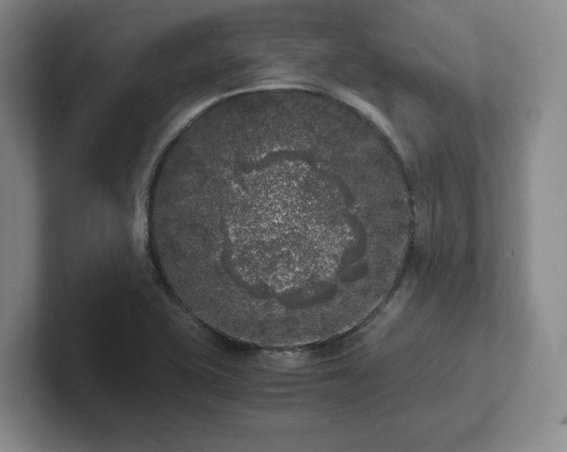 X0000102481415200808151440