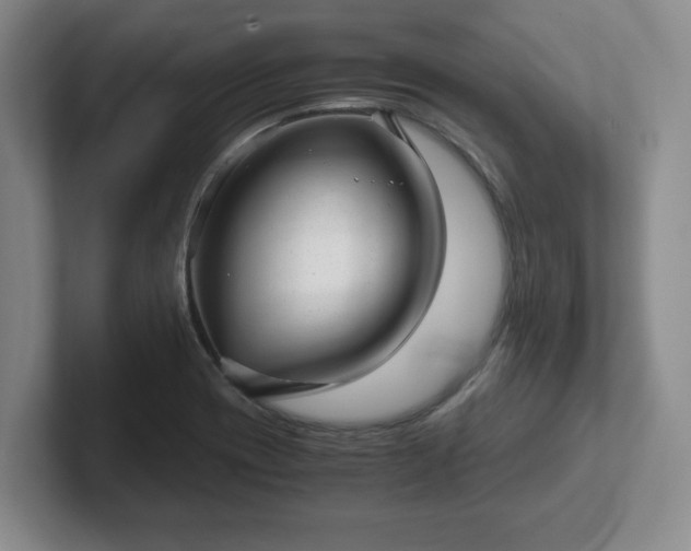 X0000102481417200808151440