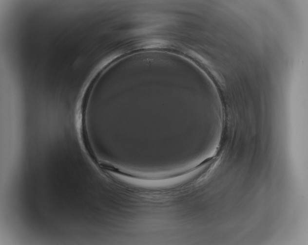 X0000102481418200808151440