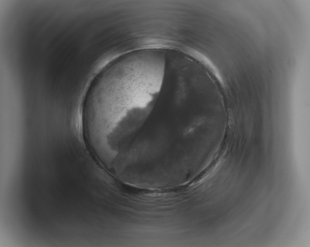 X0000102481419200808151440