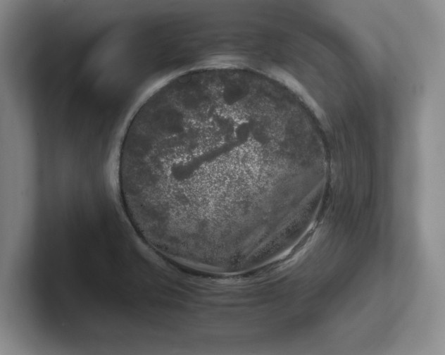 X0000102481421200808151440