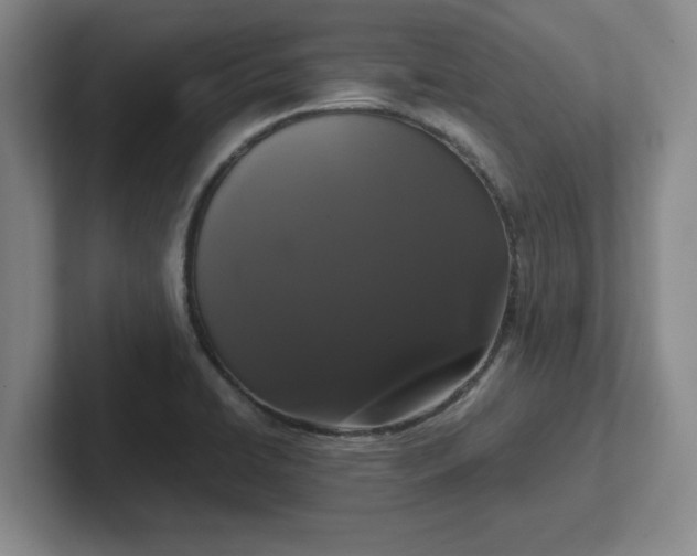 X0000102481422200808151440