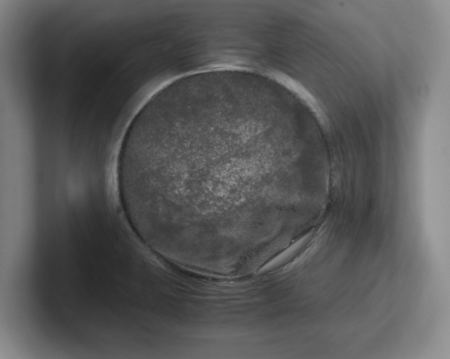 X0000102481423200808151440