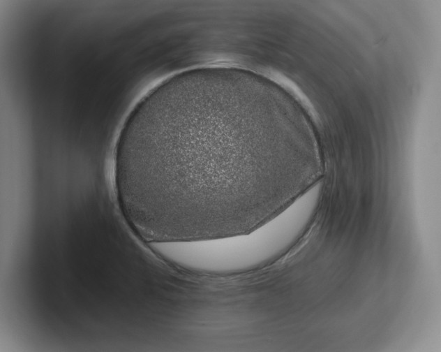 X0000102481424200808151440