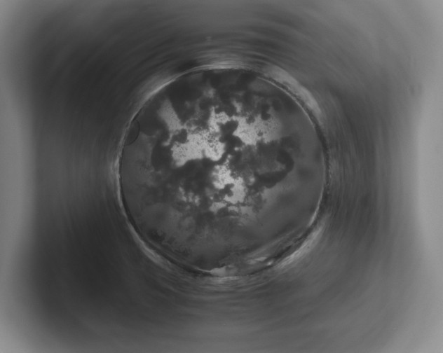 X0000102481425200808151440