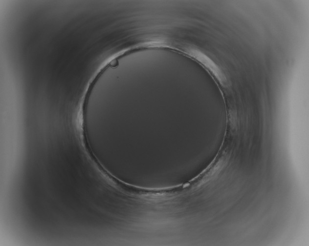 X0000102481428200808151440