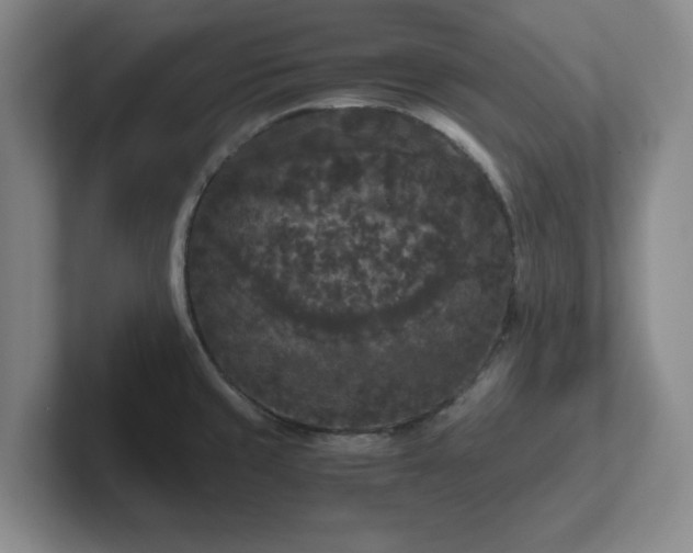 X0000102481429200808151440