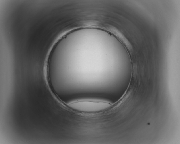 X0000102481432200808151440