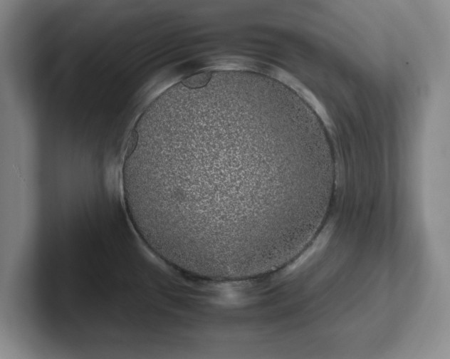 X0000102481433200808151440