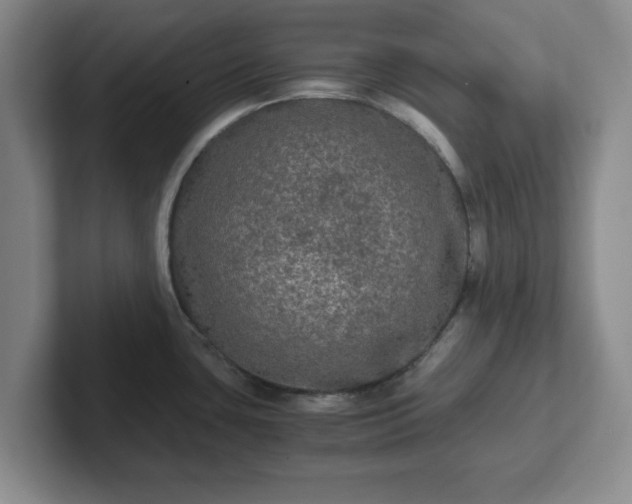 X0000102481435200808151440