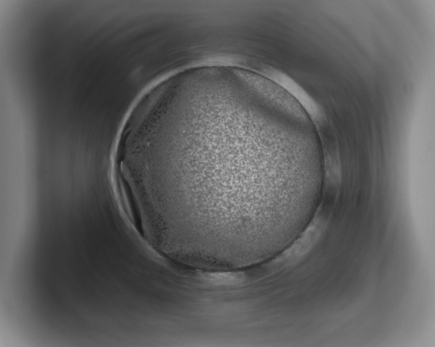 X0000102481436200808151440