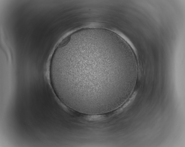 X0000102481437200808151440