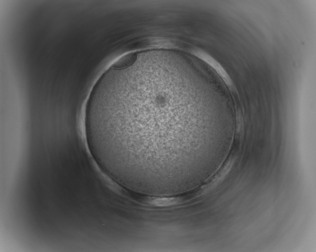 X0000102481439200808151440