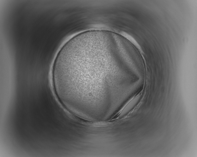 X0000102481440200808151440