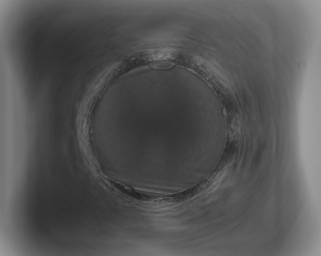 X0000102481441200808151440