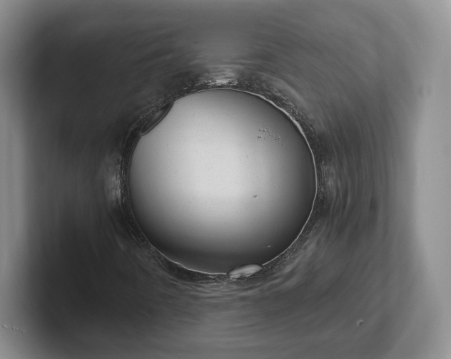 X0000102481442200808151440