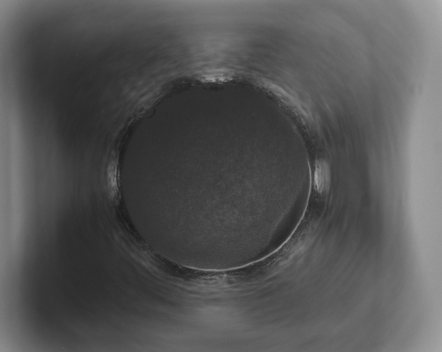 X0000102481444200808151440