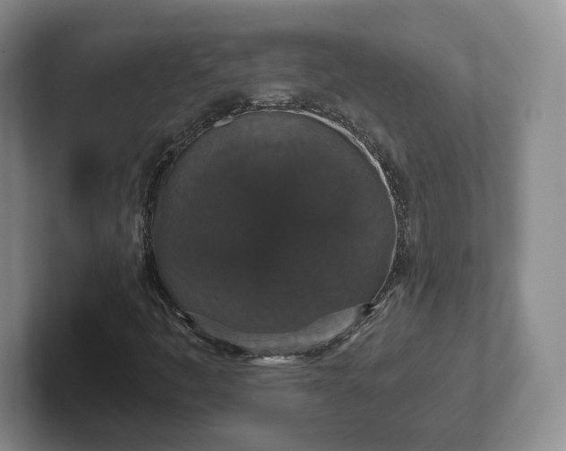 X0000102481445200808151440