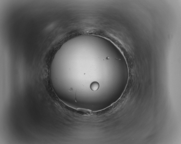 X0000102481447200808151440