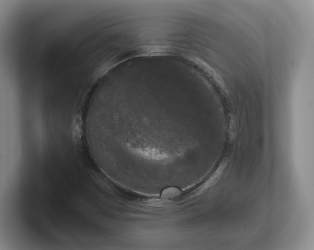 X0000102481449200808151440