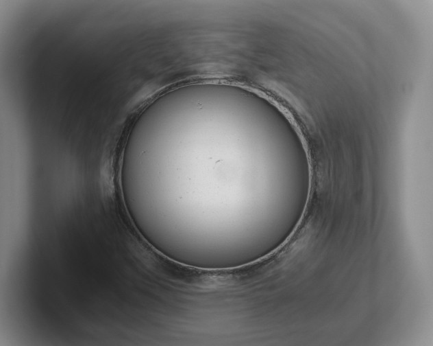 X0000102481451200808151440