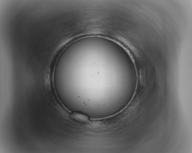 X0000102481452200808151440