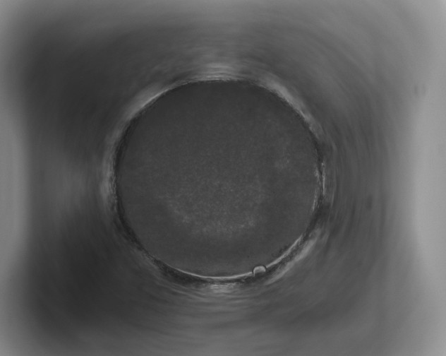 X0000102481453200808151440