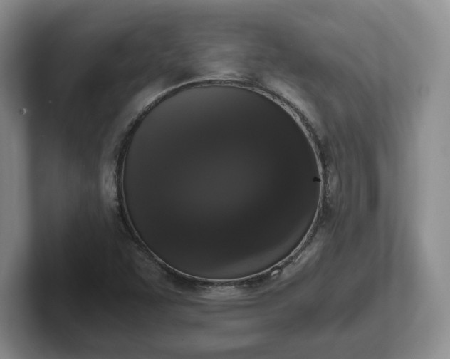 X0000102481455200808151439