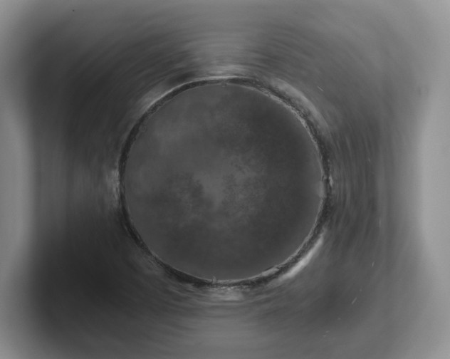 X0000102481457200808151439