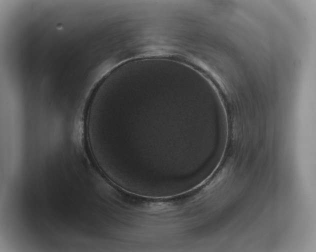 X0000102481459200808151439