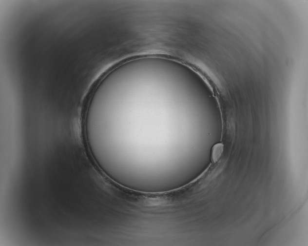 X0000102481460200808151439