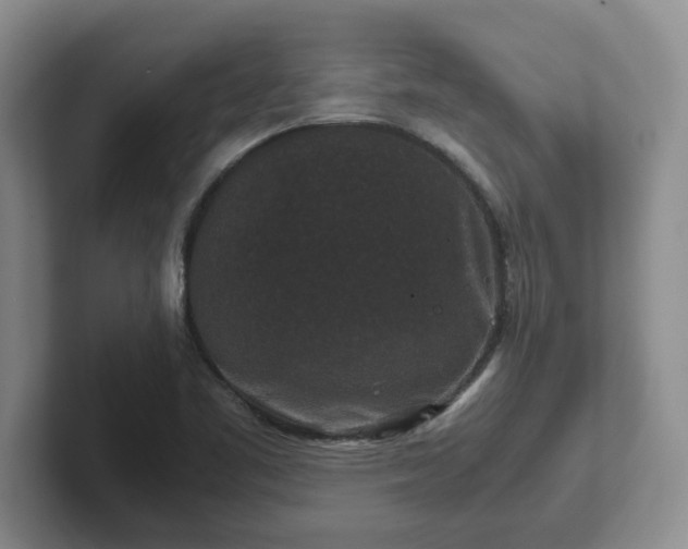 X0000102481461200808151439