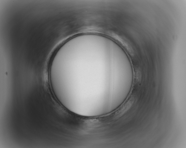 X0000102481462200808151439